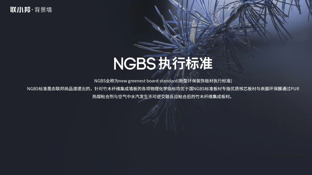 聯小邦背景墻